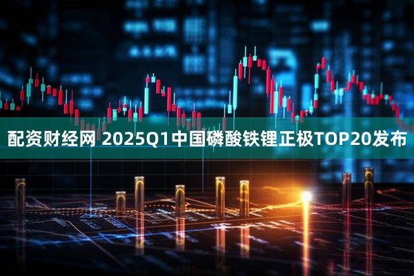配资财经网 2025Q1中国磷酸铁锂正极TOP20发布