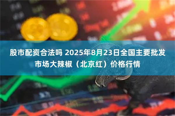 股市配资合法吗 2025年8月23日全国主要批发市场大辣椒（北京红）价格行情